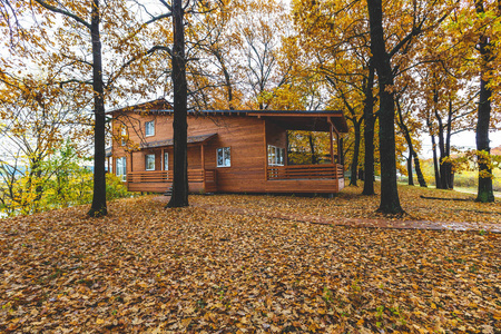 和平生活的完美场所照片