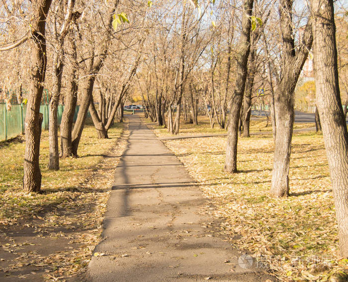 秋天公园与落叶的路