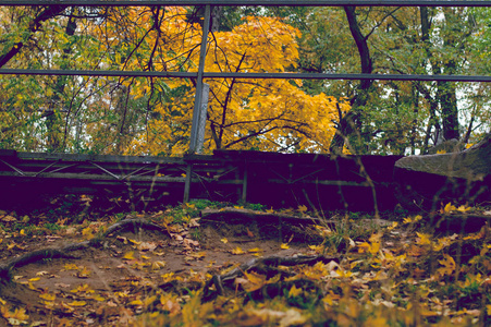 秋天的背景是一座小木桥