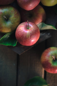 新鲜成熟的苹果木的背景上。秋天的静物