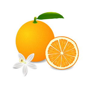 整个橙色水果与叶 切片和孤立的白色背景上的花