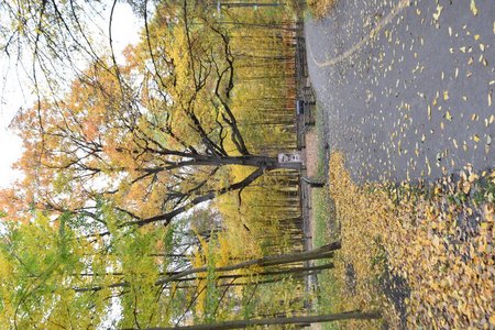 秋天城市公园的风景图片