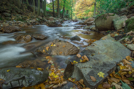 山间溪流与瀑布在一个秋天的树林