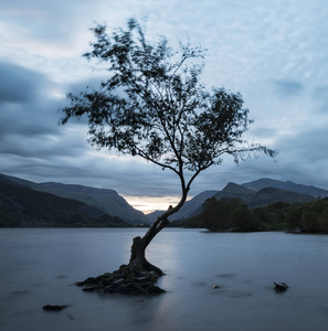 美丽景观形象的丽茵 Padarn 在秋天日出