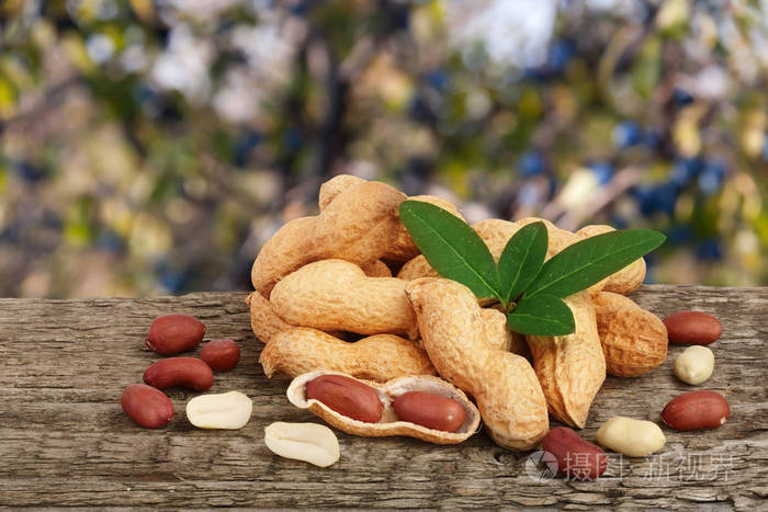 花生叶上旧的木桌上模糊的花园背景