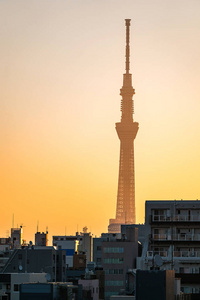 东京 Skytree 与天际线