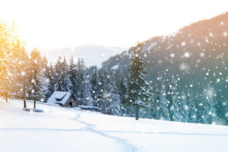 美丽的冬天景观在深山的落雪