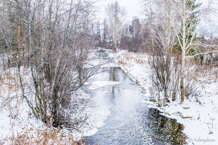 冬天小河在森林风景