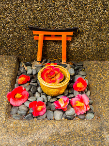 近距离拍摄一套卡特兰兰花红花和石头作为供奉在日本扔石头的地面