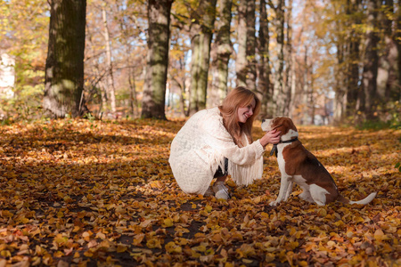 狗的漂亮女孩图片