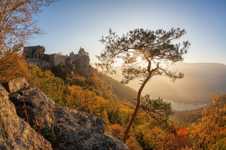 秋天的树林在瓦豪，奥地利的 Aggstein 城堡