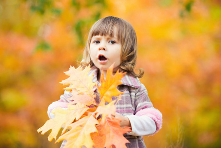 快乐的小女孩，小女孩笑着，在秋天在自然玩户外散步，