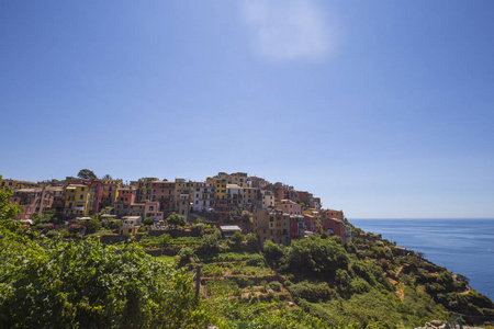 Corniglia 村的视图