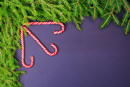 顶部的绿色新鲜冷杉树枝和装饰品的形式糖果和糖果拐杖框在紫色的背景。圣诞节, 新年。Copyspace
