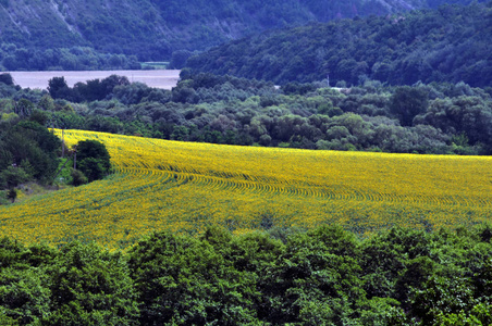 夏季全景景观从顶端点