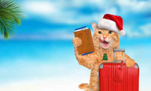 手提箱和文档的海面背景红猫