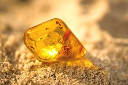 波罗的海的琥珀色宏图片