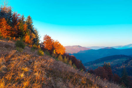 多彩的秋日景色在山村里。在喀尔巴阡山的早晨有雾。sokilsky 脊，乌克兰，欧洲