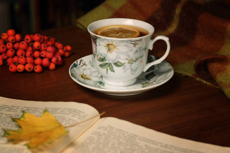 柠檬茶, 书和罗文浆果