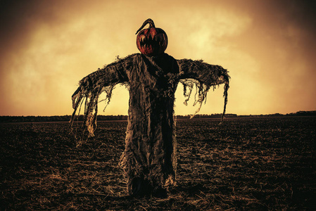 字段的稻草人图片