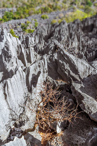 tsingy de bemaraha 马达加斯加