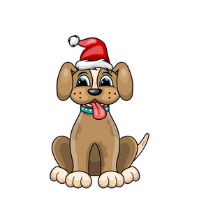 圣诞狗狗写真在红色圣诞老人的帽子。性格便便孤立在白色背景上