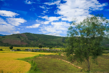 在越南的前景上，绿色和黄色的田野在山坡上