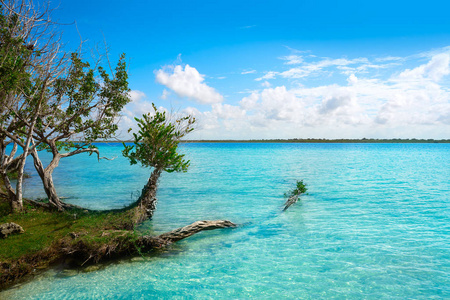 在墨西哥 Bacalar 泻湖泻湖