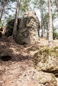 树木环绕在 Chko Kokorinsko 在捷克共和国的孤立的岩