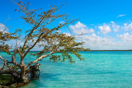 在墨西哥 Bacalar 泻湖泻湖