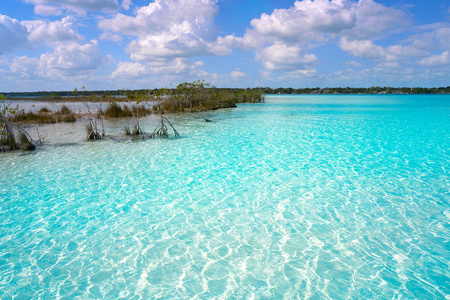 在玛雅墨西哥拉古纳德 Bacalar 泻湖