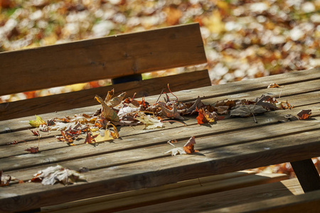 秋天的叶子在木凳上