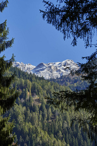 多洛米蒂山风景布伦塔