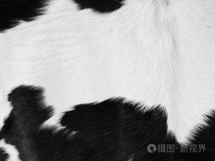 黑白牛毛质地近景