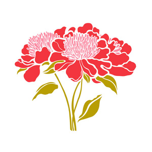 三个牡丹花束.矢量图照片