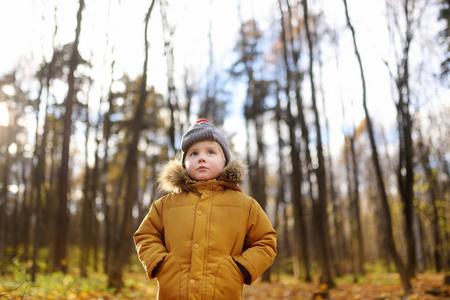 在秋季的一天走在森林里的小女孩