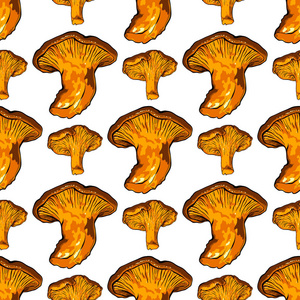 矢量图的各种真菌蘑菇