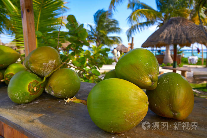 加勒比海椰子水果在海滨玛雅