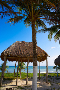 Mahahual 加勒比海滩在哥斯达黎加玛雅
