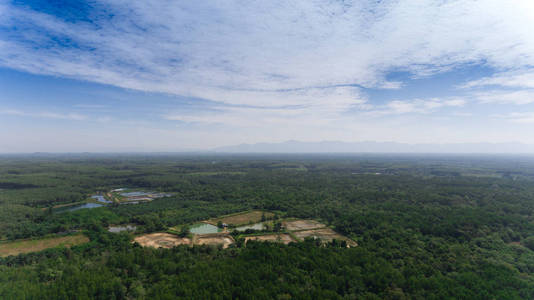 泰国的空中红树林和虾场