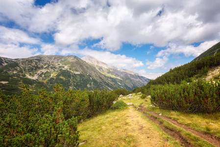 Pirin山美丽的夏季晨景