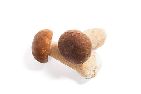 两个牛肝菌蘑菇称为牛肝菌上白色 b 孤立