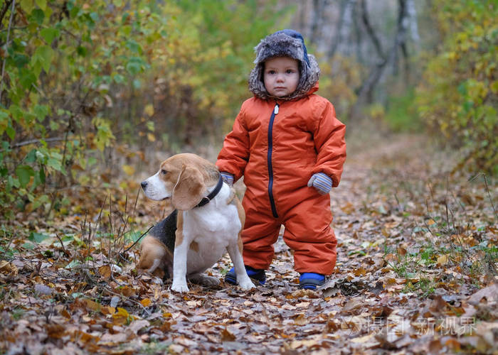 欧洲小男孩和小猎犬号在秋天的树林