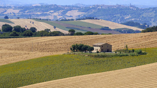 夏日风景在 Appignano 附近 意大利