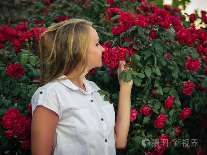 美丽的女人吸入盛开的玫瑰的香味