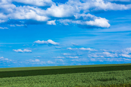 绿色的田野和蓝蓝的天空背景
