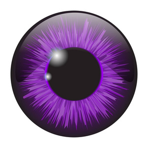 紫色鸢尾眼部现实向量集设计上白色孤立