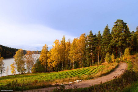 秋季晚上在 nuuksio 国家公园