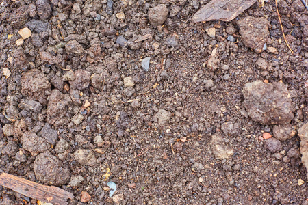 潮湿顺利潮湿的泥土和小鹅卵石, 纹理照片