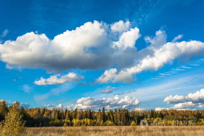 *4000px无水印下载免费10次/天下载小样发票合同问题/举报天空秋天美